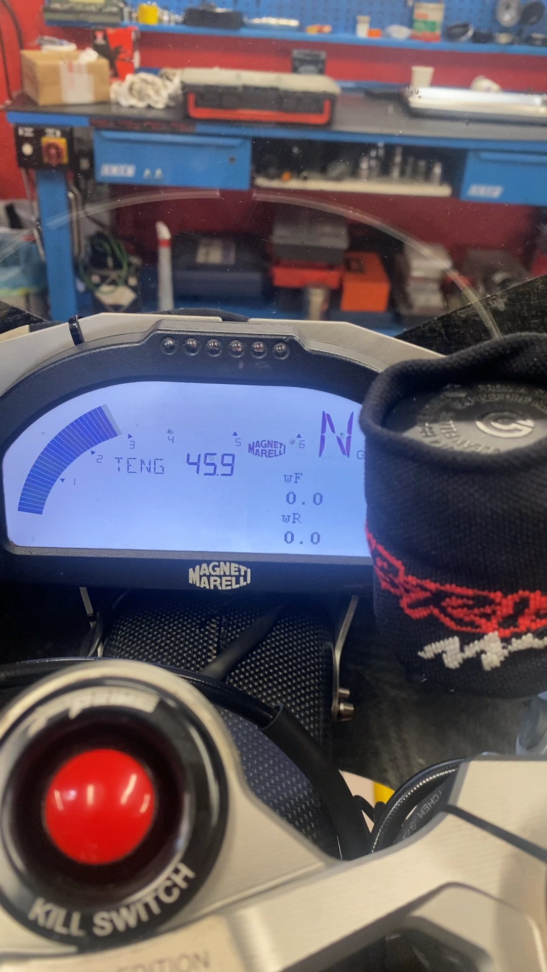 Triumph Daytona Moto Video