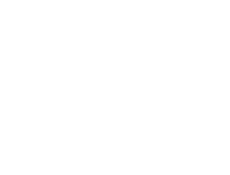 spark logo new